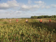 Hunters in the Field